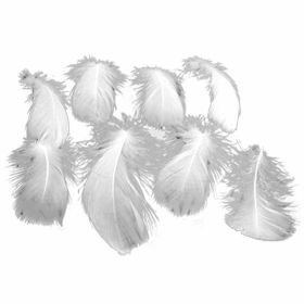 500 Pcs White Artificial Goose Feathers for Birthday Party Wedding Festival Party Decor, 2-5 inch