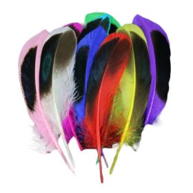100 Pcs Colorful Feathers for Birthday Party Wedding Festival Party Decor, 4-6 inch