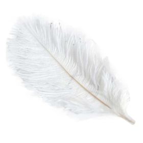10 Pcs DIY Craft White Feathers Home Wedding Decoration, 7-9 Inches
