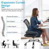 Ergonomic Office Chair Breathable Mesh Computer Chair 360wivel with Adjustable Lumbar Support Armrest