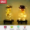 Foil Rose LED String Light Rose Fairy Lamp w/ Glass Dome For Valentinesay MotheràDay Wedding Birthday