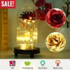 Foil Rose LED String Light Rose Fairy Lamp w/ Glass Dome For Valentinesay MotheràDay Wedding Birthday