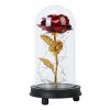 Foil Rose LED String Light Rose Fairy Lamp w/ Glass Dome For Valentinesay MotheràDay Wedding Birthday