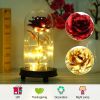Foil Rose LED String Light Rose Fairy Lamp w/ Glass Dome For Valentinesay MotheràDay Wedding Birthday